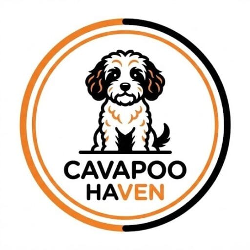 CavapooHaven